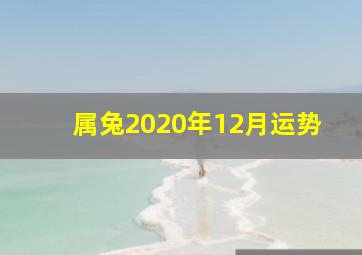 属兔2020年12月运势