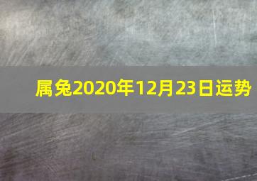 属兔2020年12月23日运势