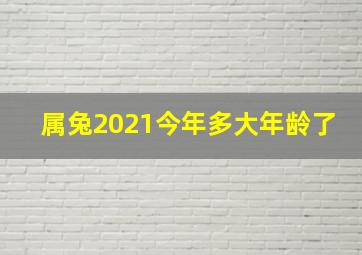 属兔2021今年多大年龄了