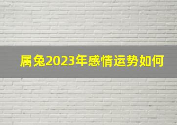 属兔2023年感情运势如何