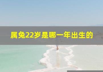 属兔22岁是哪一年出生的