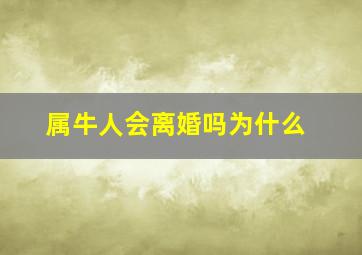 属牛人会离婚吗为什么