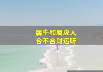 属牛和属虎人合不合财运呀