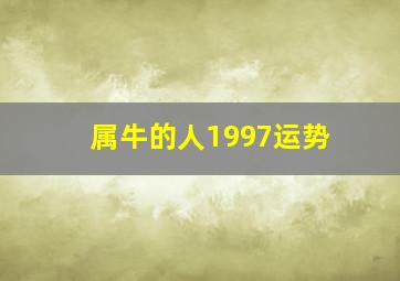 属牛的人1997运势