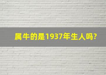 属牛的是1937年生人吗?