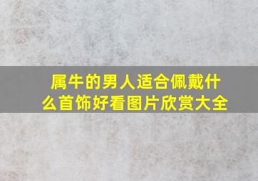 属牛的男人适合佩戴什么首饰好看图片欣赏大全