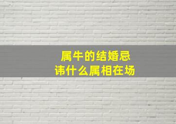 属牛的结婚忌讳什么属相在场