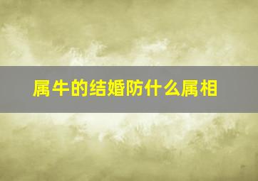 属牛的结婚防什么属相