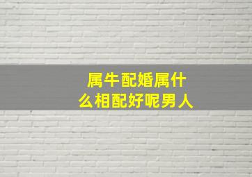 属牛配婚属什么相配好呢男人