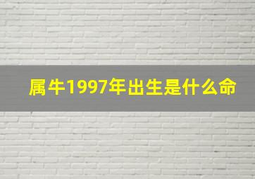 属牛1997年出生是什么命