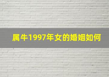 属牛1997年女的婚姻如何