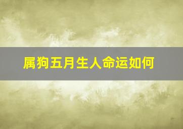 属狗五月生人命运如何