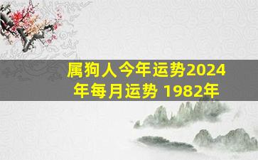 属狗人今年运势2024年每月运势 1982年