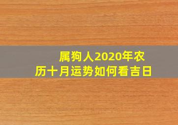 属狗人2020年农历十月运势如何看吉日