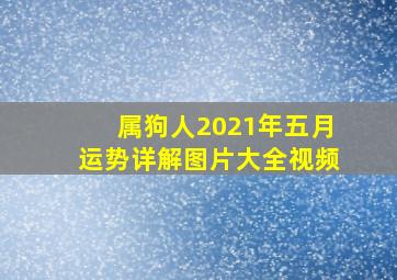 属狗人2021年五月运势详解图片大全视频