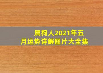 属狗人2021年五月运势详解图片大全集