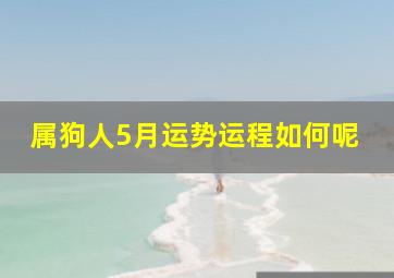 属狗人5月运势运程如何呢