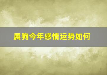 属狗今年感情运势如何