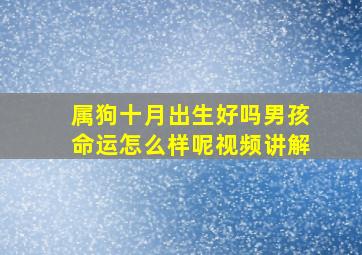 属狗十月出生好吗男孩命运怎么样呢视频讲解