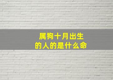 属狗十月出生的人的是什么命