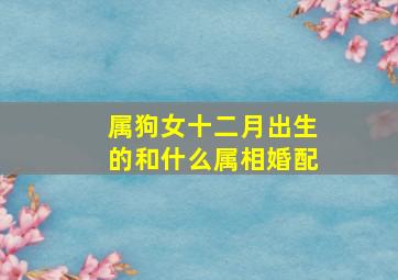 属狗女十二月出生的和什么属相婚配