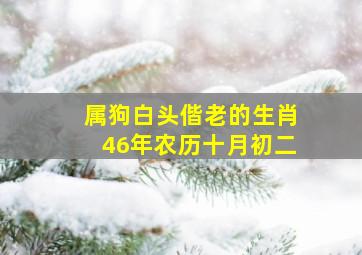 属狗白头偕老的生肖46年农历十月初二