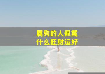 属狗的人佩戴什么旺财运好