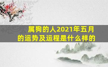 属狗的人2021年五月的运势及运程是什么样的