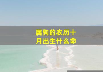 属狗的农历十月出生什么命