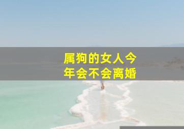 属狗的女人今年会不会离婚