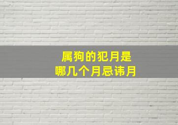 属狗的犯月是哪几个月忌讳月