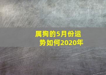 属狗的5月份运势如何2020年