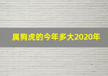 属狗虎的今年多大2020年