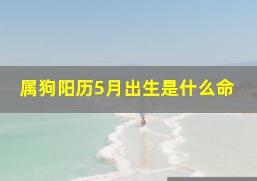 属狗阳历5月出生是什么命