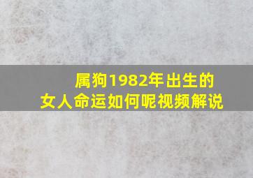 属狗1982年出生的女人命运如何呢视频解说