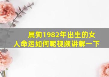 属狗1982年出生的女人命运如何呢视频讲解一下