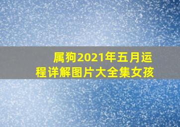 属狗2021年五月运程详解图片大全集女孩