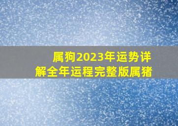 属狗2023年运势详解全年运程完整版属猪