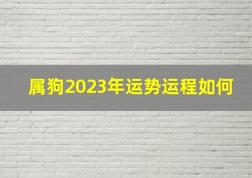 属狗2023年运势运程如何