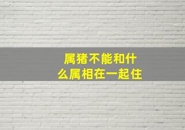 属猪不能和什么属相在一起住