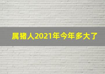 属猪人2021年今年多大了