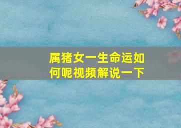 属猪女一生命运如何呢视频解说一下