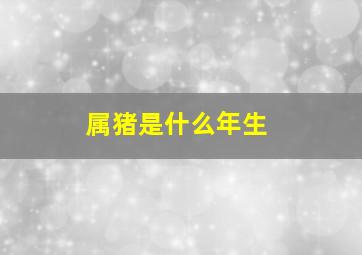 属猪是什么年生