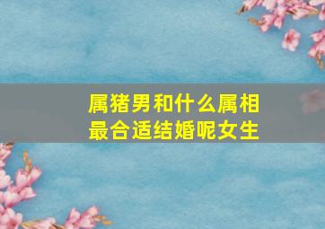 属猪男和什么属相最合适结婚呢女生