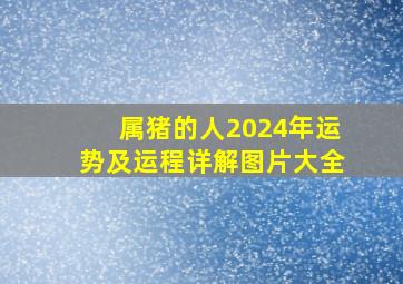 属猪的人2024年运势及运程详解图片大全