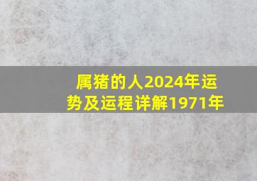 属猪的人2024年运势及运程详解1971年