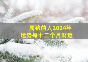 属猪的人2024年运势每十二个月财运