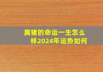 属猪的命运一生怎么样2024年运势如何