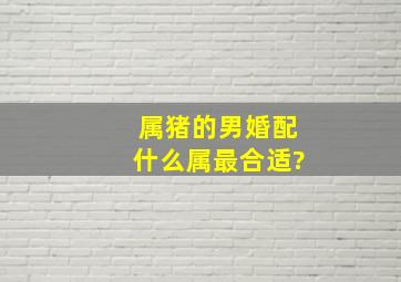 属猪的男婚配什么属最合适?