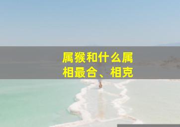 属猴和什么属相最合、相克